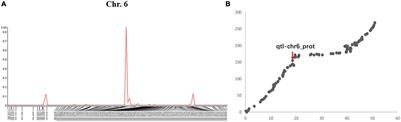 Identification of Candidate Genes and Genomic Selection for Seed Protein in Soybean Breeding Pipeline